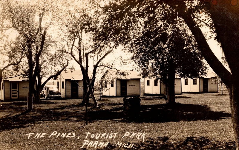 The Pines Tourist Park